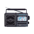 11 Band AM/FM/Sw Portable Radio